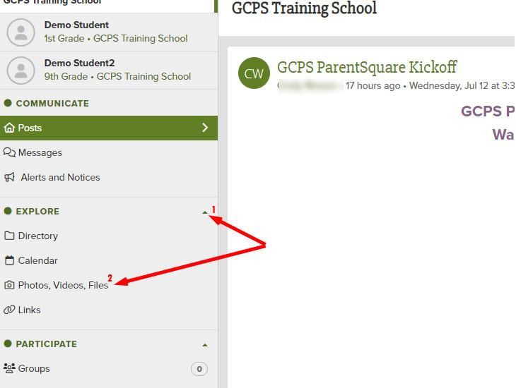 Website view of Photo and Files